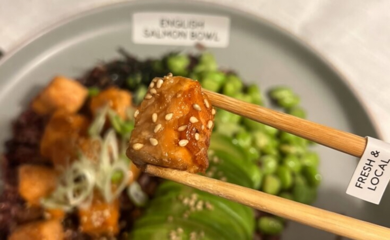 Salmon Teriyaki Bowl: Mediterranean Bowl With Salmon Recipe