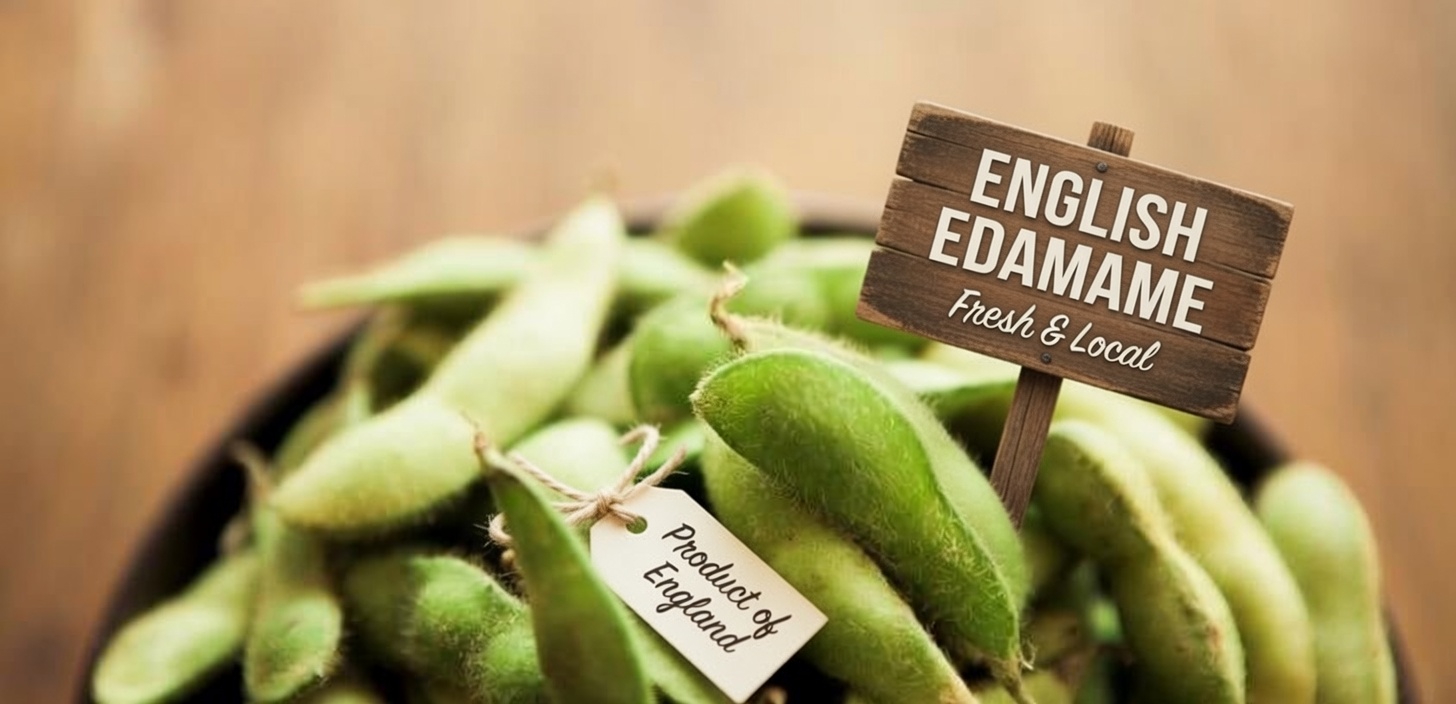 16 High-Fiber Foods You Should Eat More Of