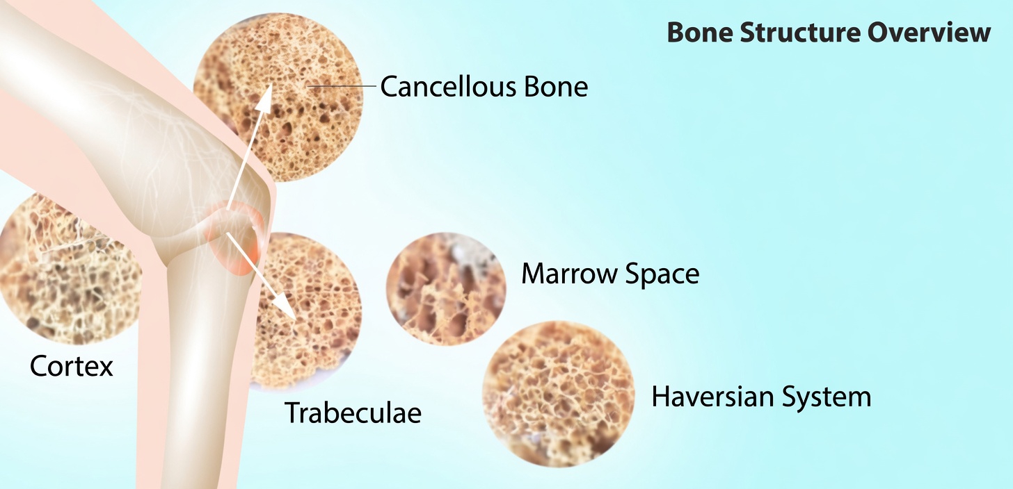 The Best Exercises for Your 50s, 60s, 70s—and Beyond