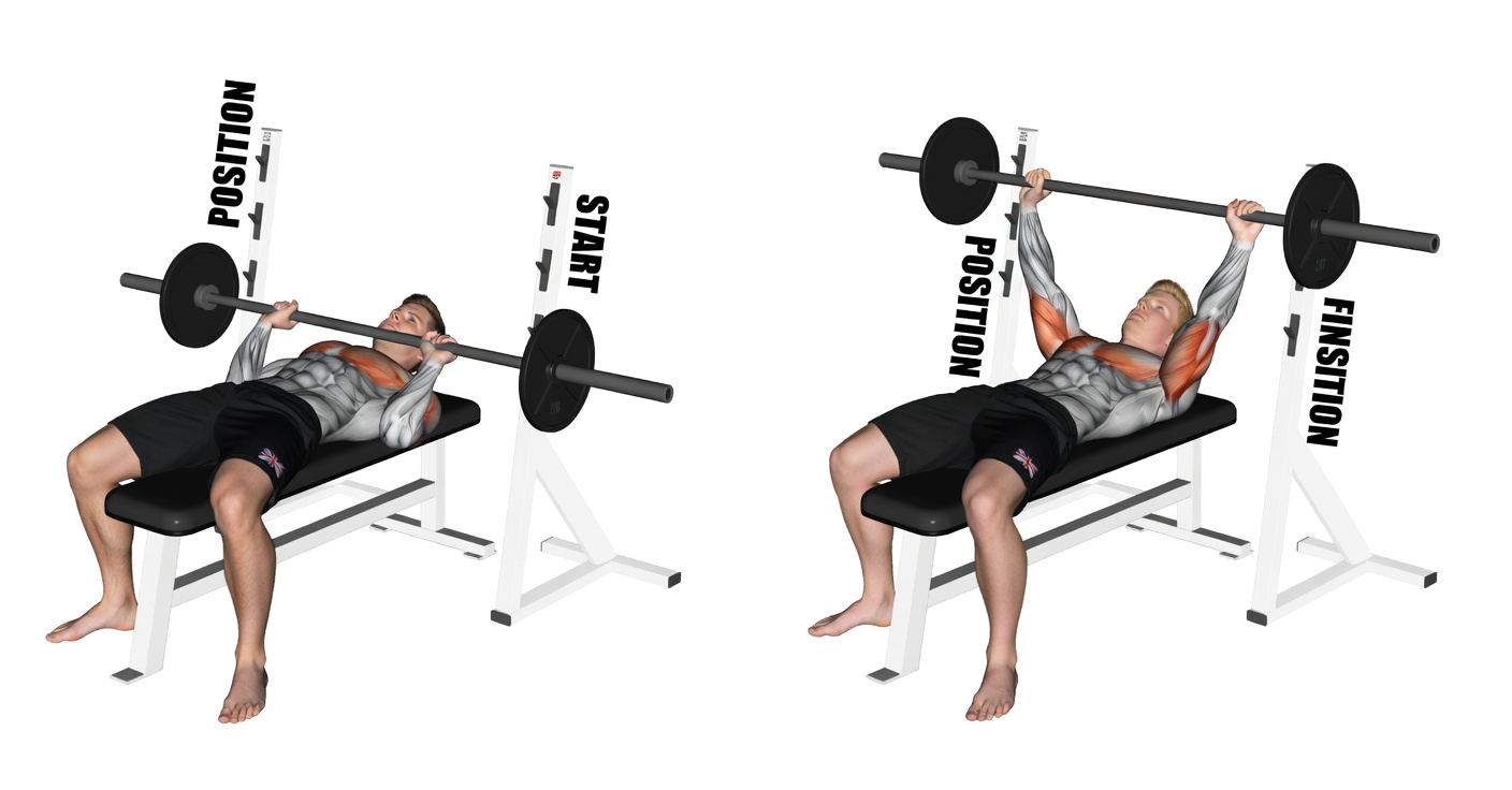 Build Huge Triceps With These Underrated Exercises