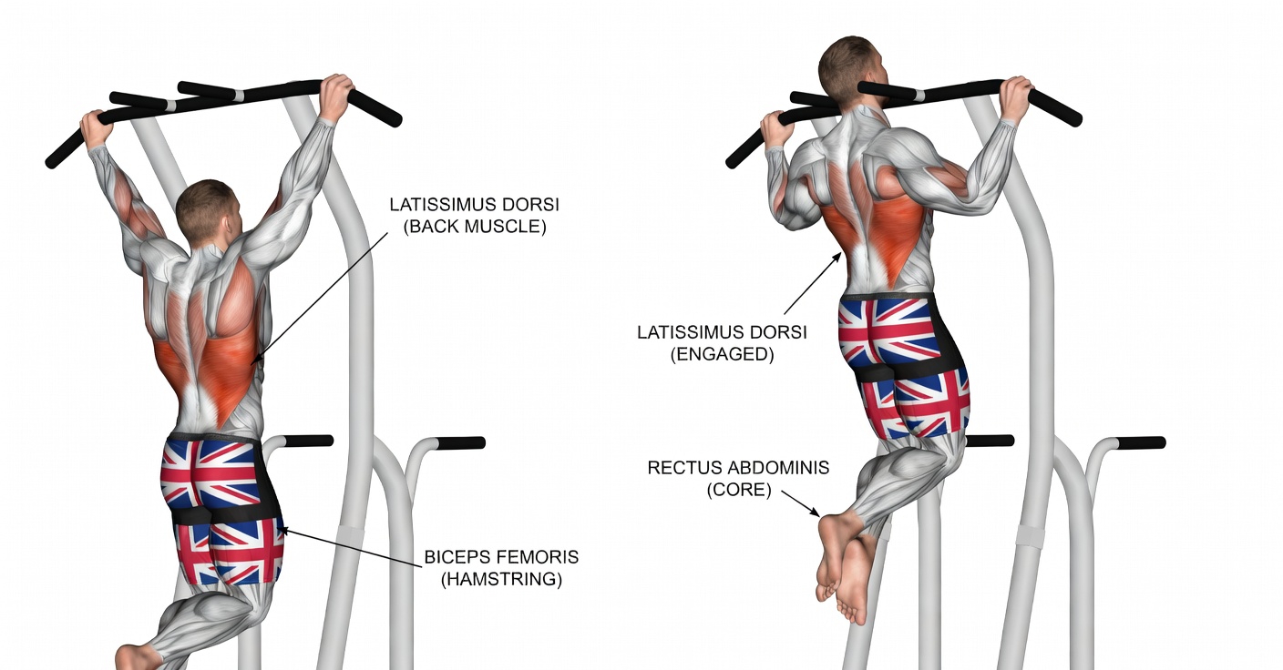 The Only 5 Exercises You Need to Get Ripped