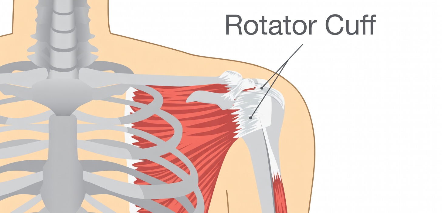 5 Best Rotator Cuff Exercises To Strengthen Shoulders and Ease Pain