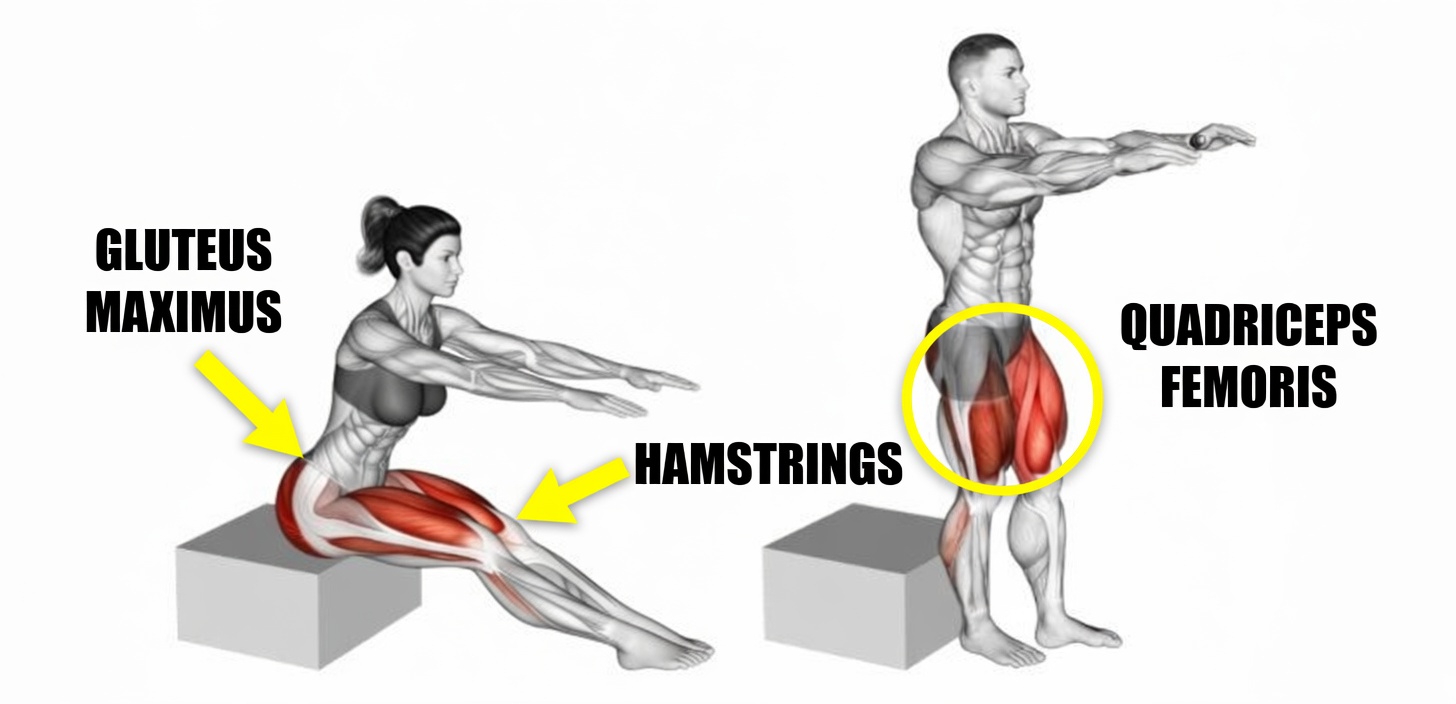 Over 60? These Are the Only 2 Exercises You Should Be Doing to Build Functional Strength