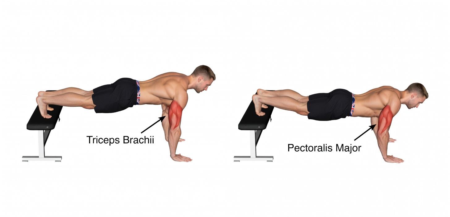 How To Get Rid of Man Boobs – The Only 5 Chest Exercises You Need