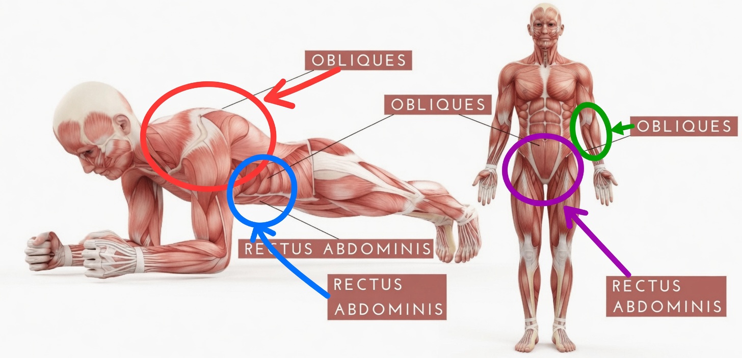 This Is How Long You Need To Hold A Plank To See Real Results￼