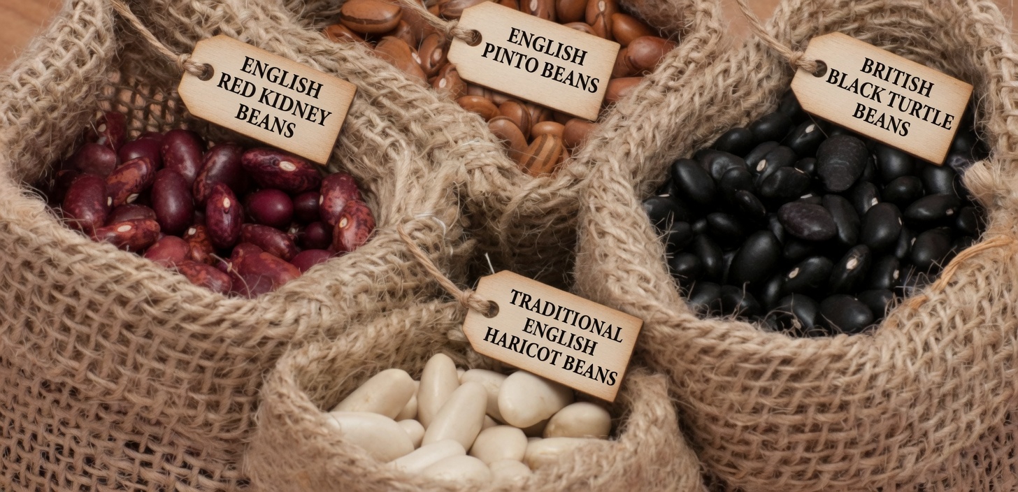 32 Foods that Burn Belly Fat Fast (Visceral Fat)￼