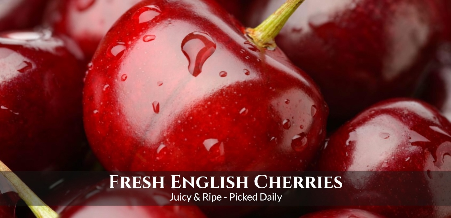 32 Foods that Burn Belly Fat Fast (Visceral Fat)￼