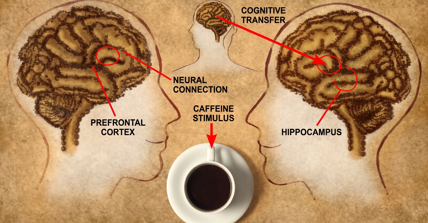 Harvard Brain Expert Says This Much Coffee May Support Brain Health