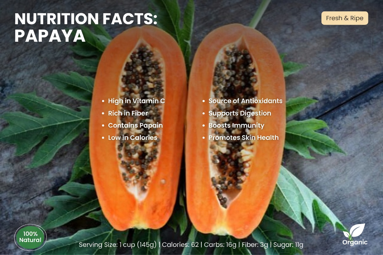 Feel Lighter Fast: The Anti-Bloat Grocery List Your Gut Will Love