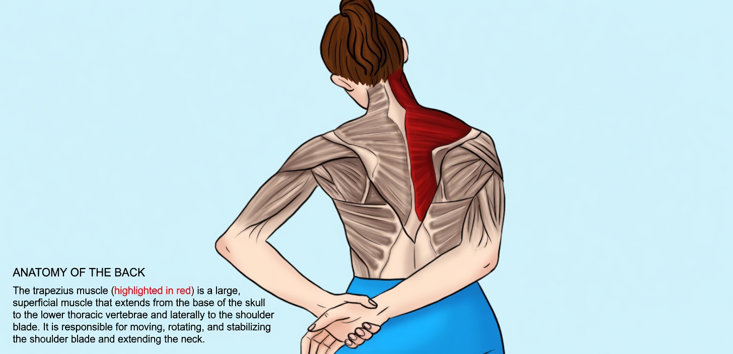 5 Neck Stretches to Release Tension and Restore Comfort