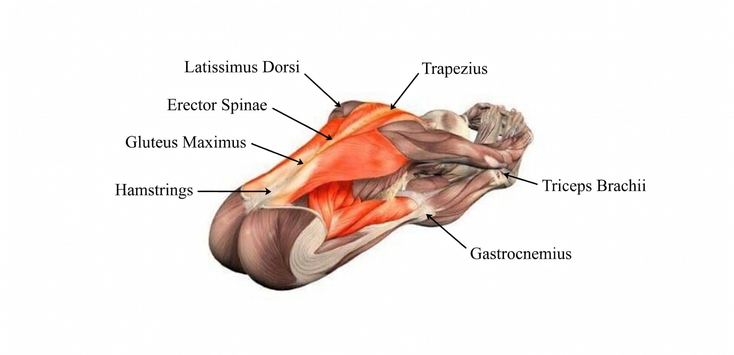 The 6 Most Important Stretches for (Intense) Lower Back Pain