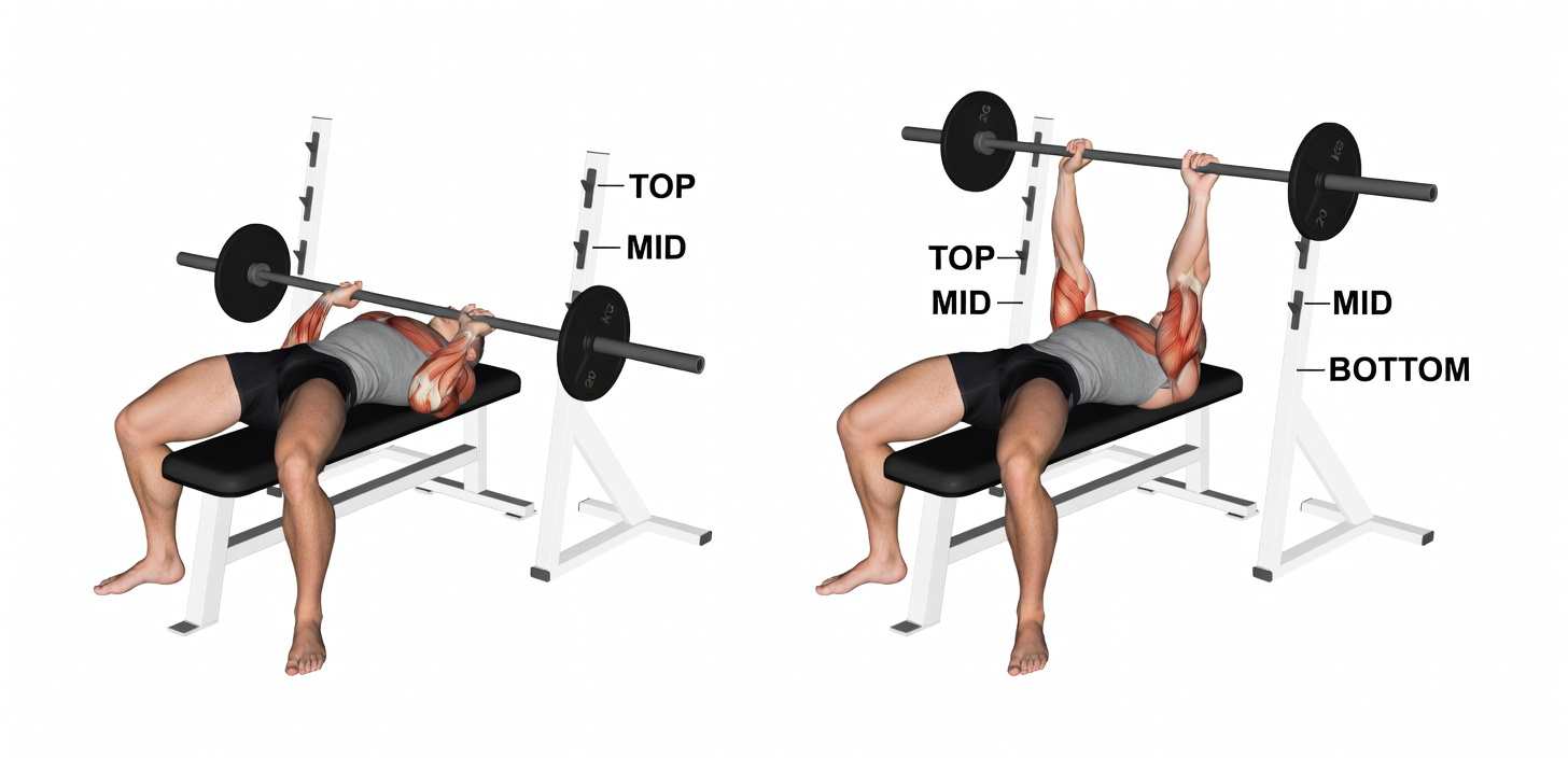 13 Best Science-Backed Chest Exercises for Huge Pecs