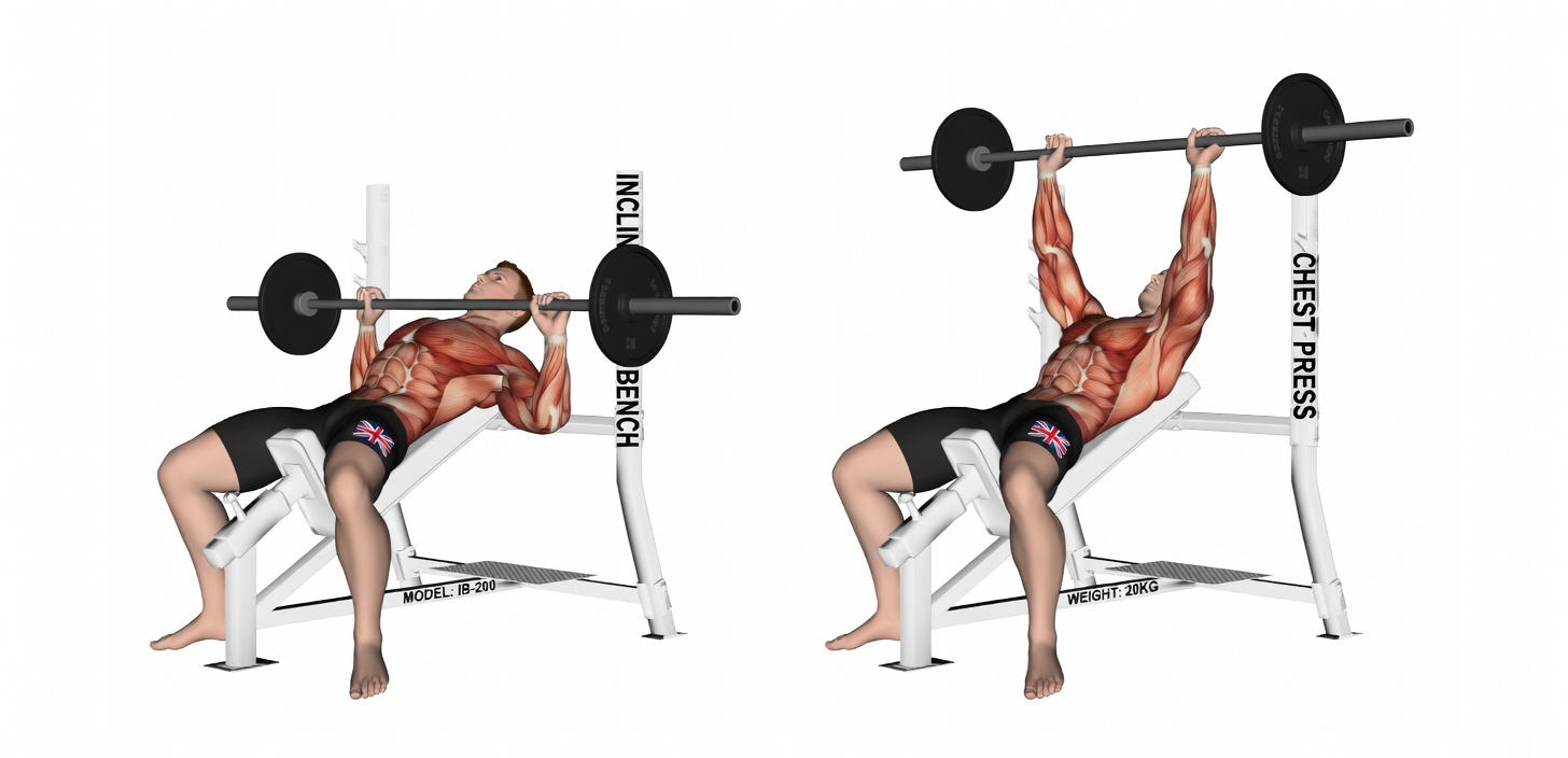 13 Best Science-Backed Chest Exercises for Huge Pecs