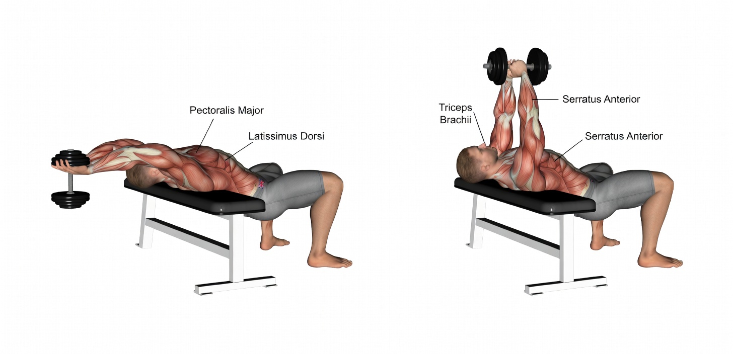 13 Best Science-Backed Chest Exercises for Huge Pecs