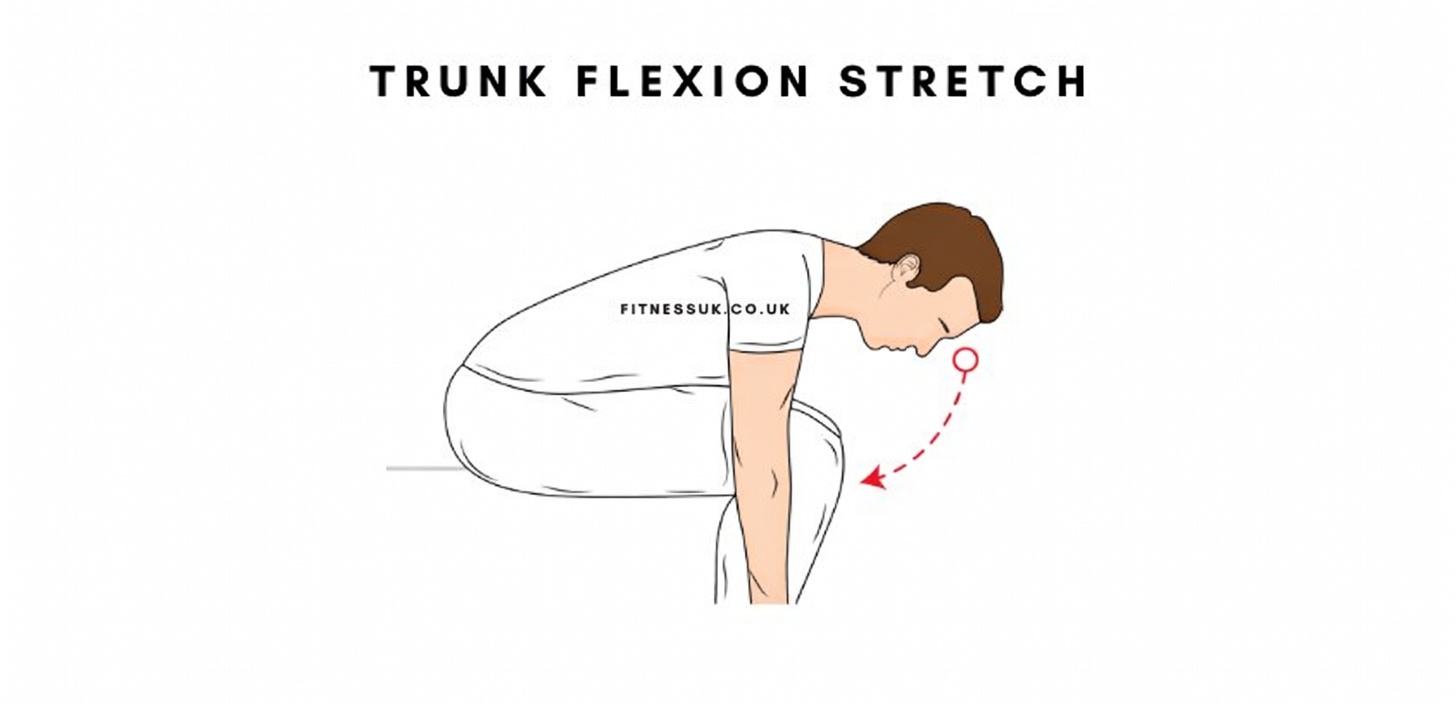 12 Everyday Stretches That Will Help You Become Flexible and Fit at Any Age