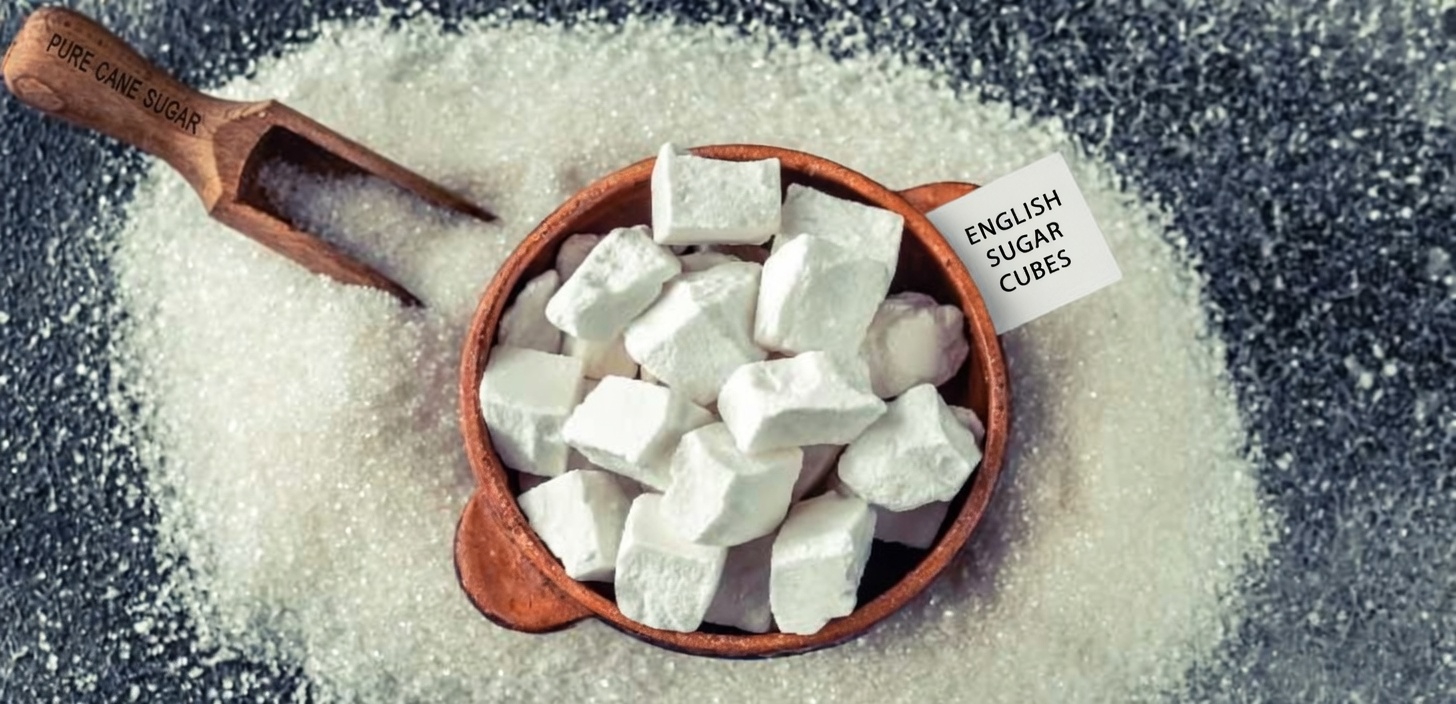 How to Lose Belly Fat in 2 Weeks: 5 Simple Proven Methods