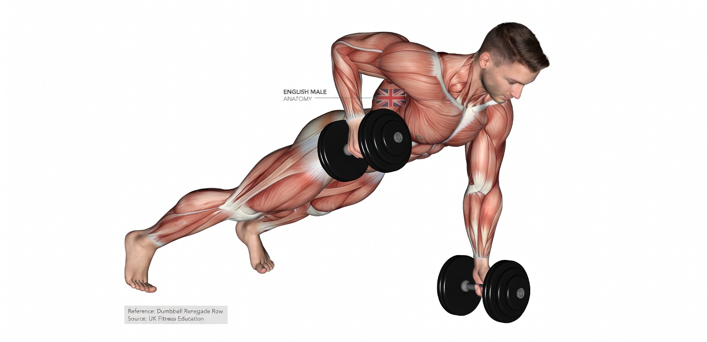 The Only Dumbbell Back Workout You’ll Ever Need