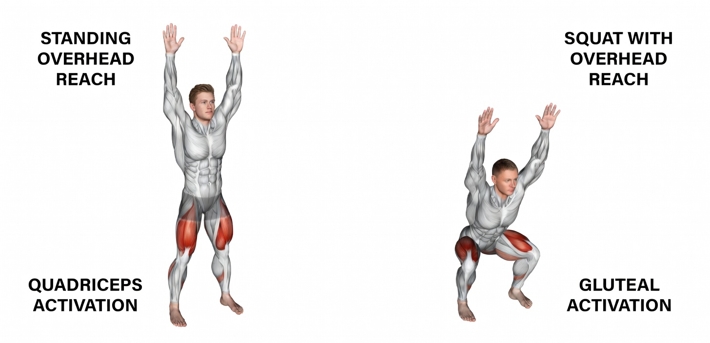 7 Best Workouts for Men Over 40 to Build Strength and Muscles