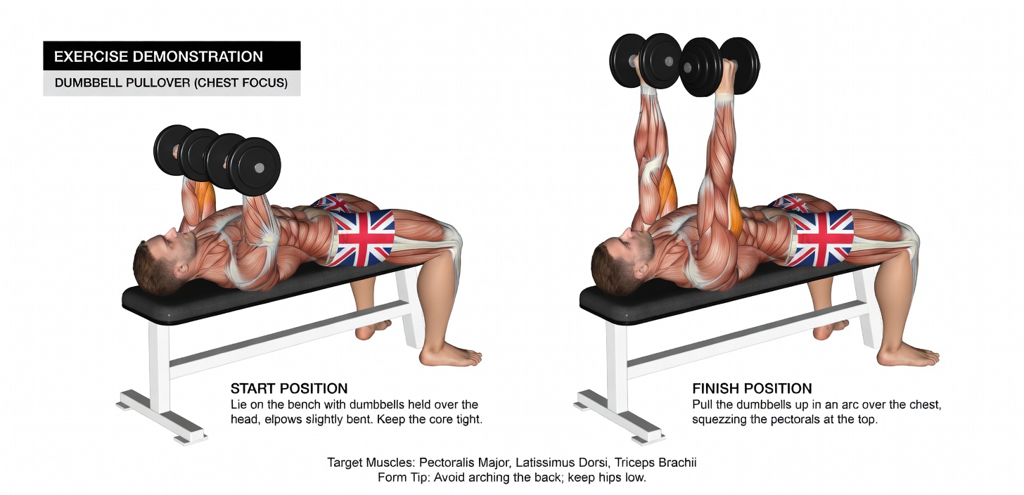 Build Bigger Arms with This 20-Minute Dumbbell Arm Workout