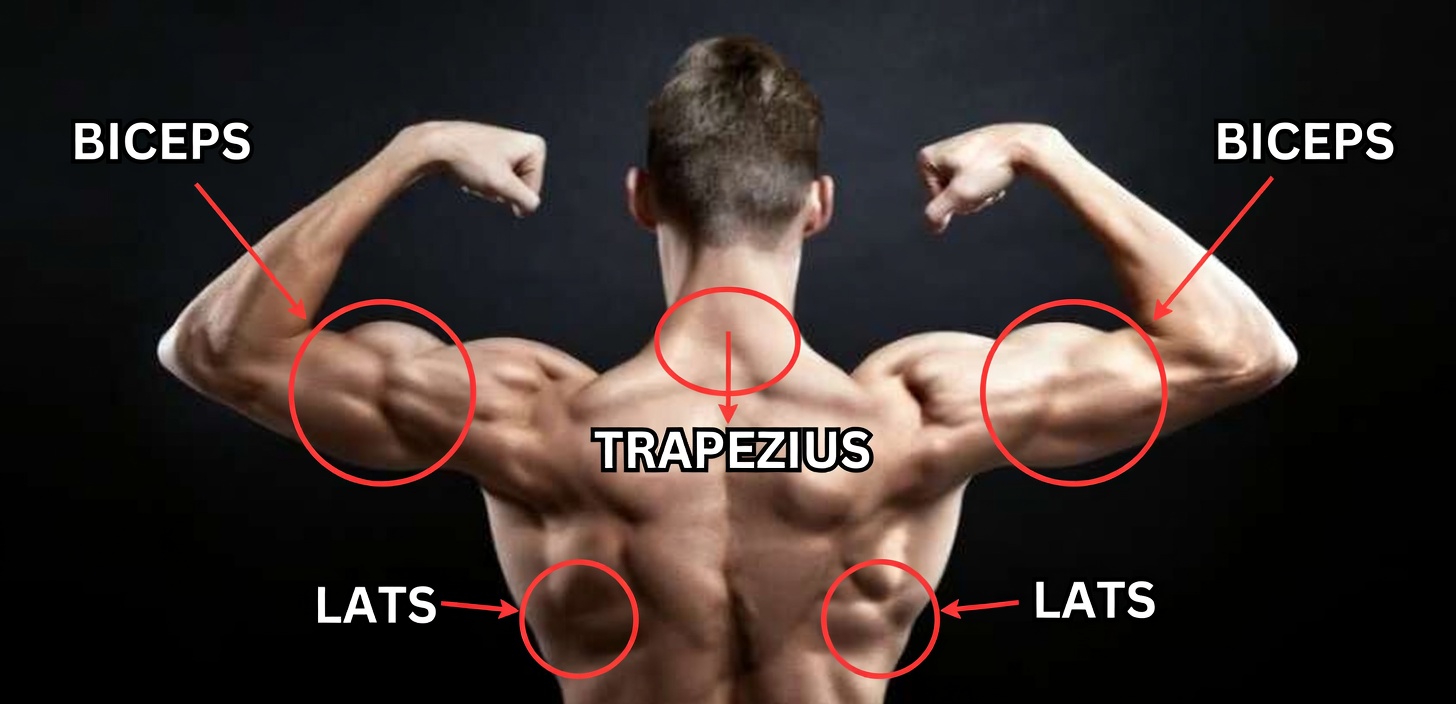 The Best Shoulder Workout Routine To Add Serious Size and Strength