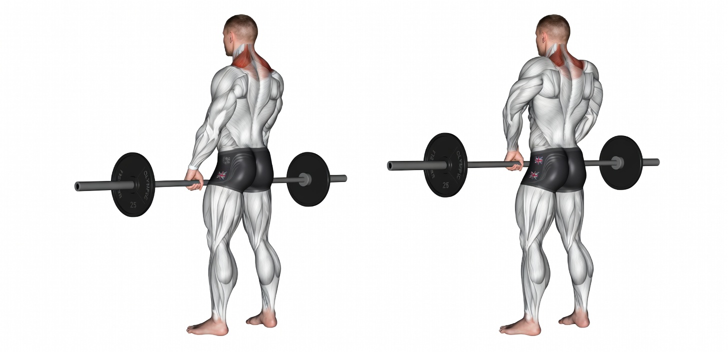 The Best Shoulder Workout Routine To Add Serious Size and Strength