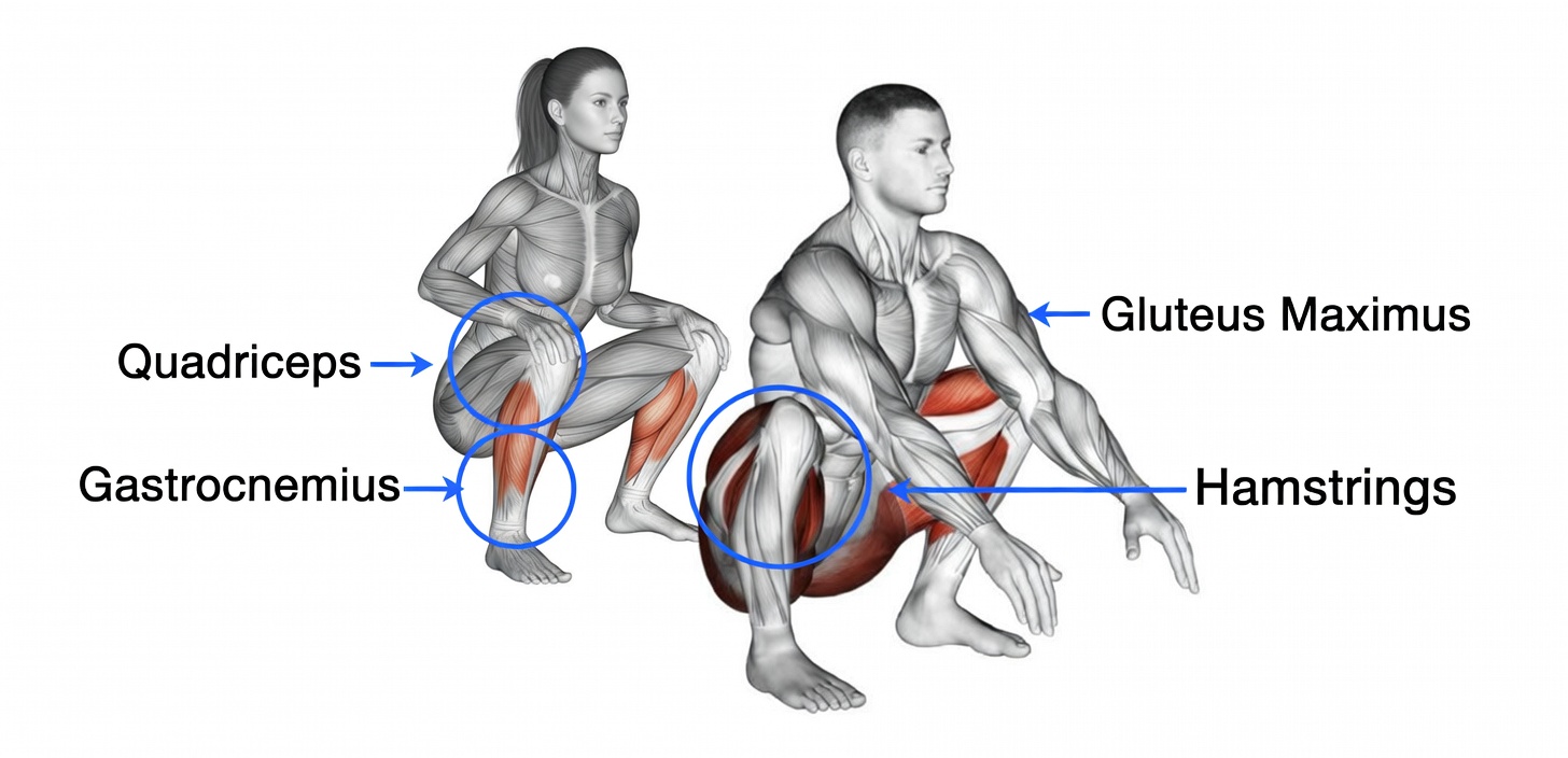 This Unique Deep Squat Position Is the Little-Known Secret To Living a Longer Life
