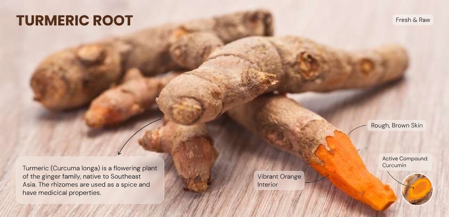 Here’s What Eating Turmeric Actually Does to Your Body