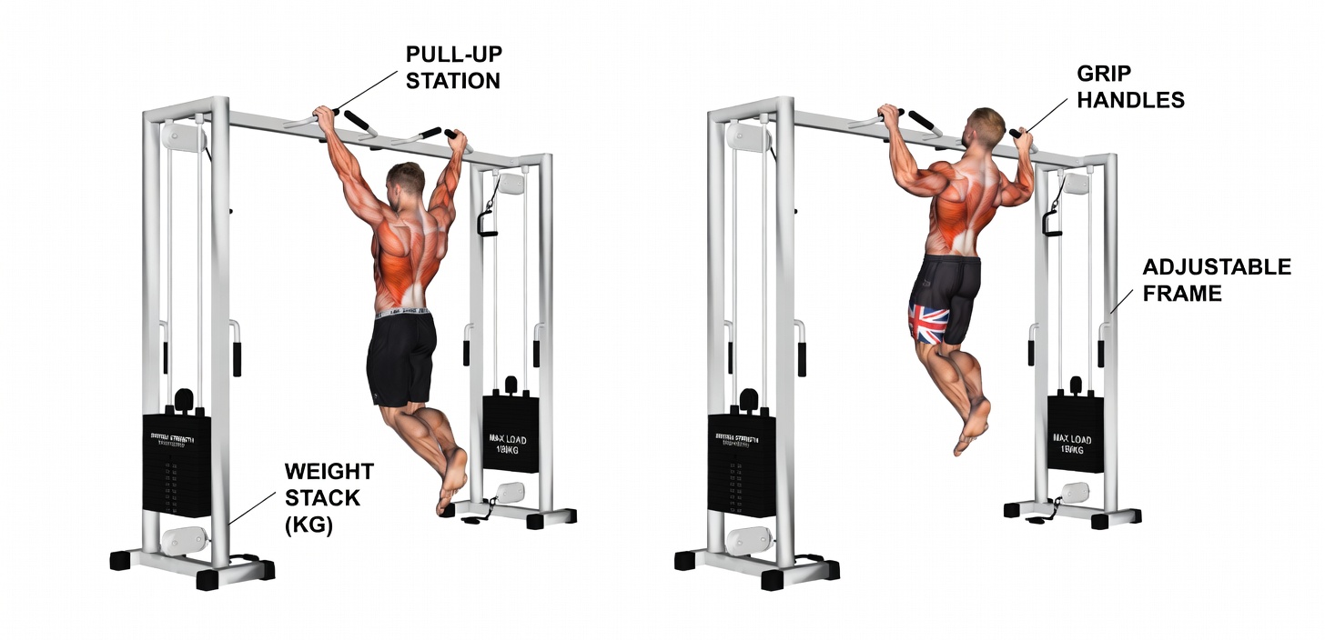 3-Day Workout Split: The Best Muscle-Building Full-Body Workout Plan