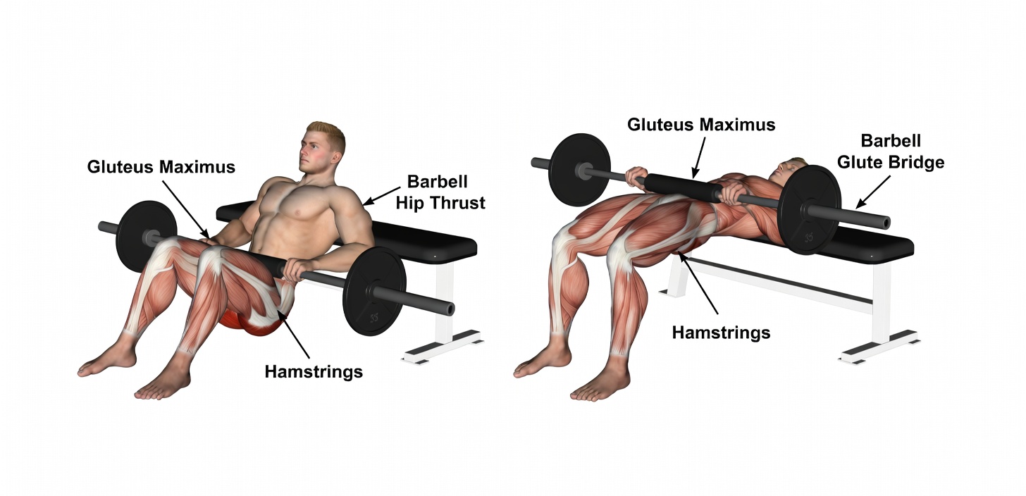 3-Day Workout Split: The Best Muscle-Building Full-Body Workout Plan