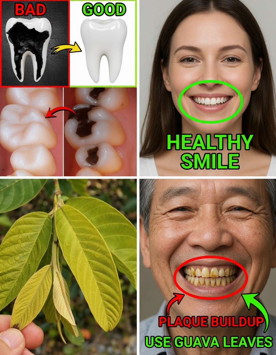 3 Ingenious Ways to Use Guava Leaves for Better Oral Hygiene Habits and Healthier Teeth