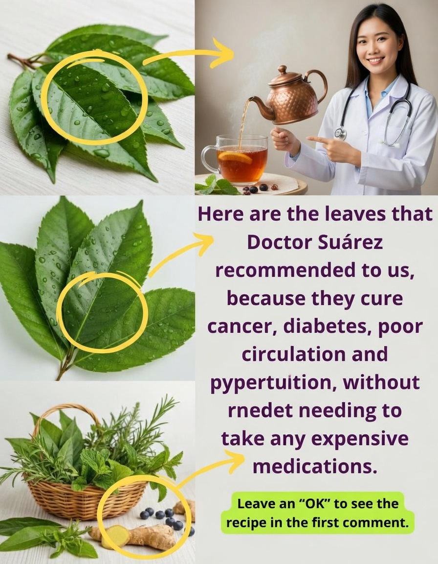 Soursop Leaf Recipes for Health