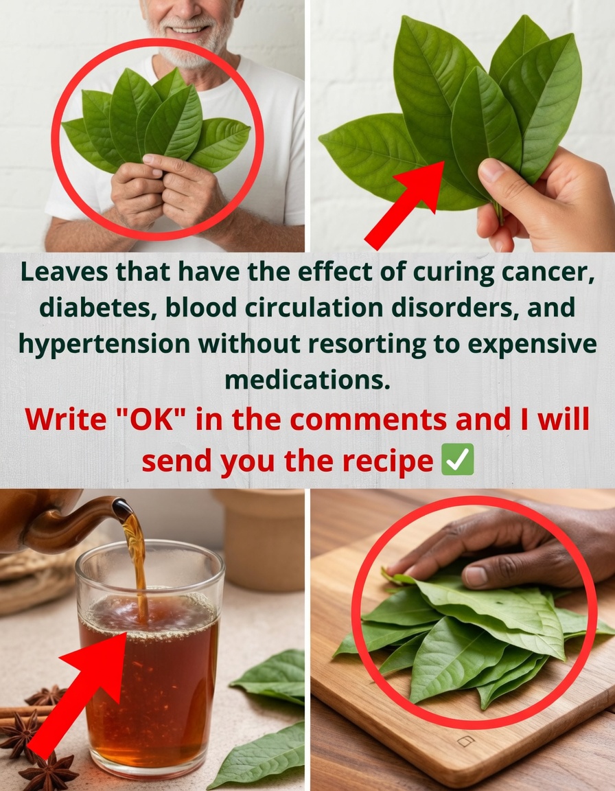 Did you know that some common green leaves in Vietnamese gardens could help you sleep better at night?