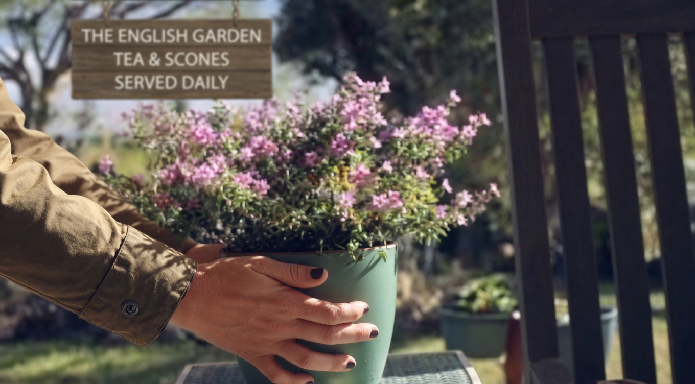 Ageratum conyzoides (Billygoat Weed): 15 Incredible Benefits and How to Use It