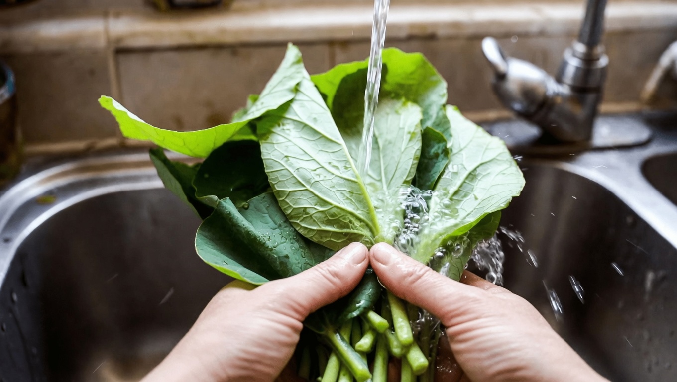 Discover How a Simple Everyday Herb Can Support Comfortable and Clear Vision Naturally