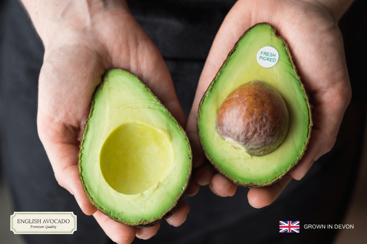 The Avocado Seed & Hibiscus Elixir That Could Revolutionize Your Daily Detox