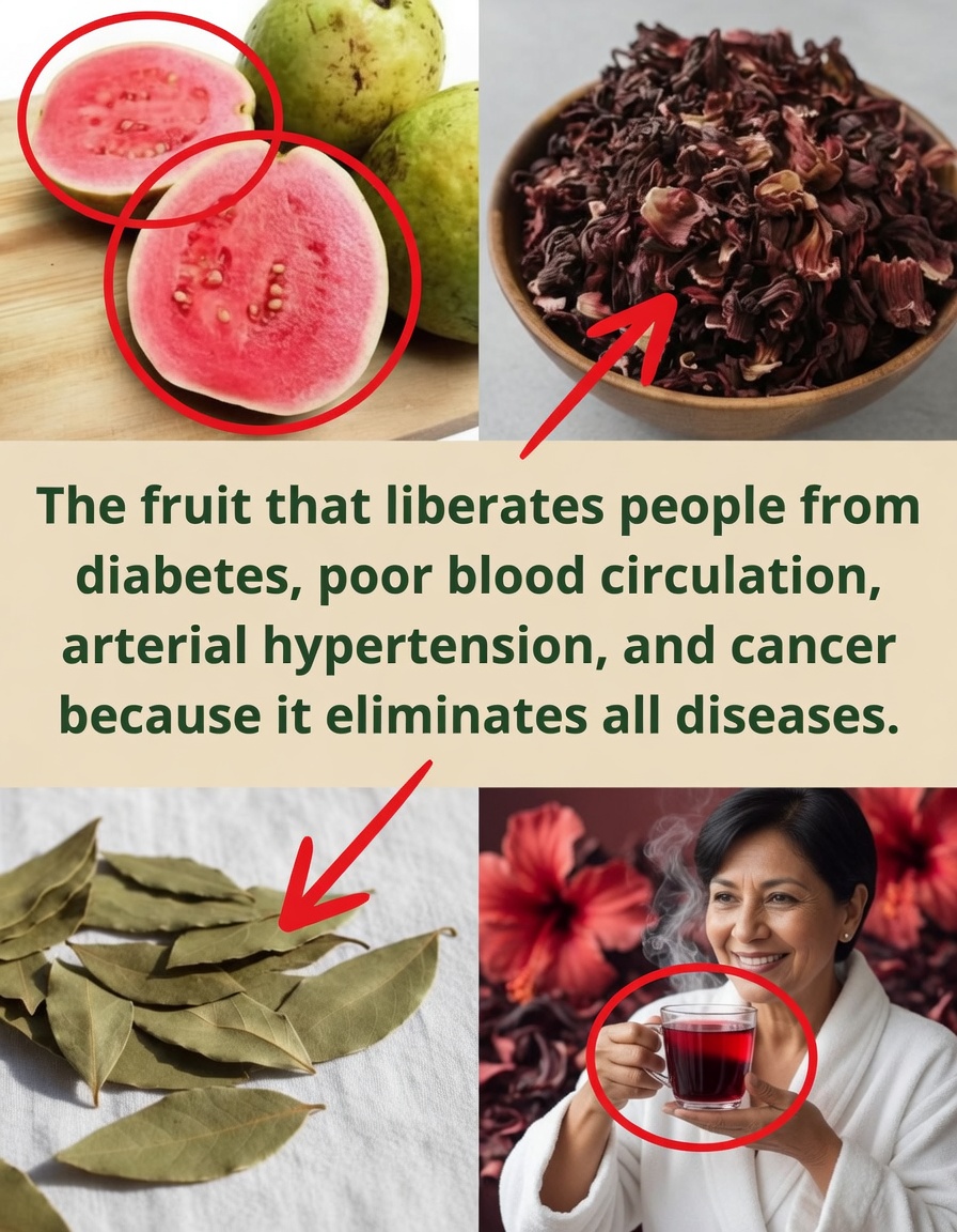 The fruit that frees a person from diabetes, poor blood circulation, hypertension and cancer because it eliminates all diseases
