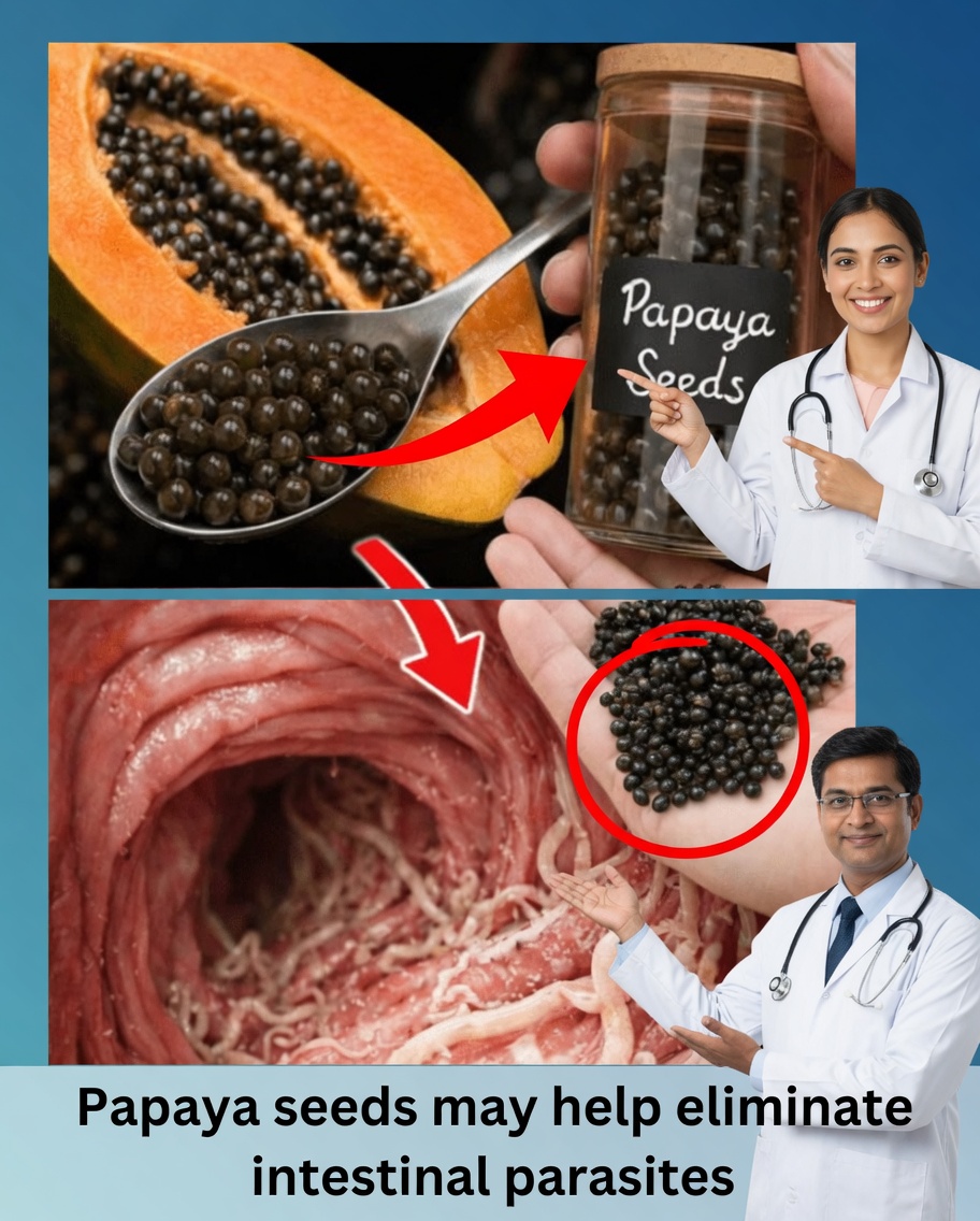 The Overlooked Superfood in Your Fruit Bowl: 14 Amazing Benefits of Papaya Seeds That Could Transform Your Daily Wellness