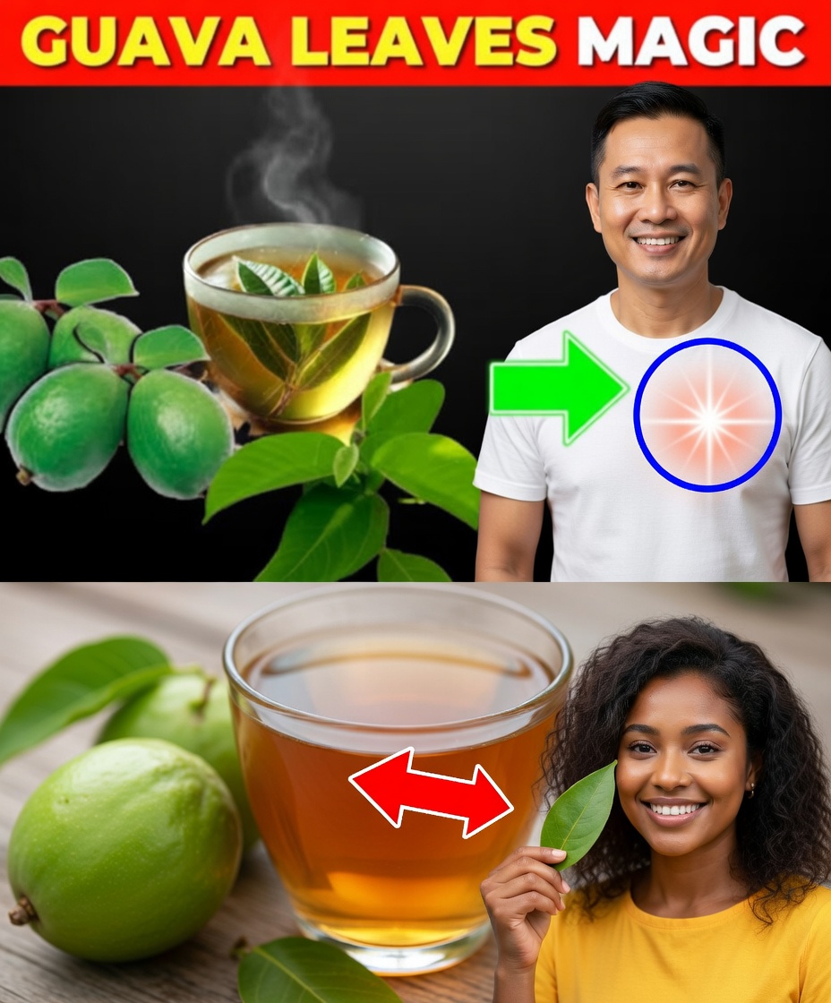 9 Diseases Cured with Guava Leaf Tea
