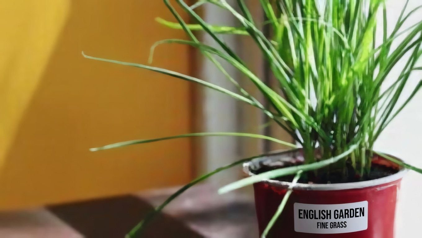 The Hidden Power of Blueberry Leaves