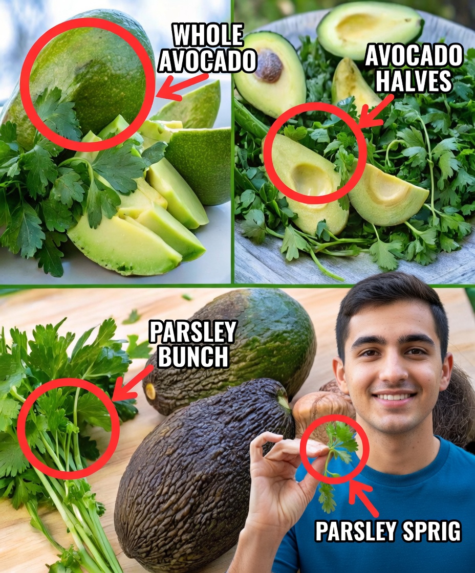 Forget about blood sugar: This avocado recipe is a real treasure