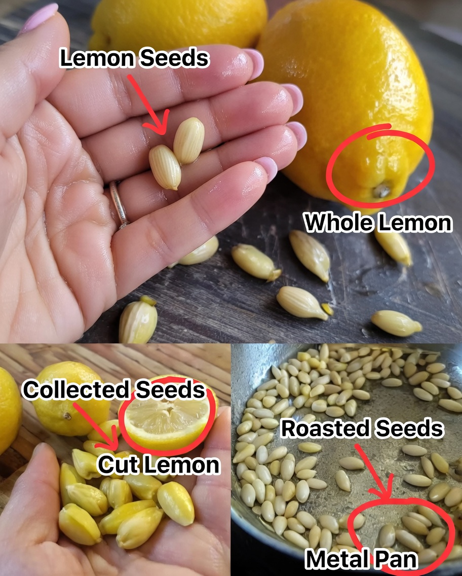 10 Clever Ways to Reuse Lemon Seeds at Home