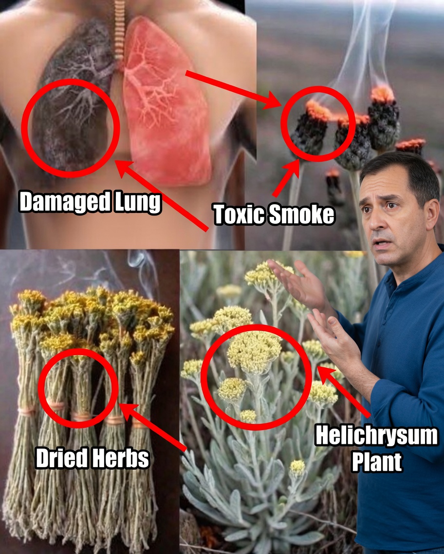 The Highland Flower: A Natural Ally in Quitting Smoking