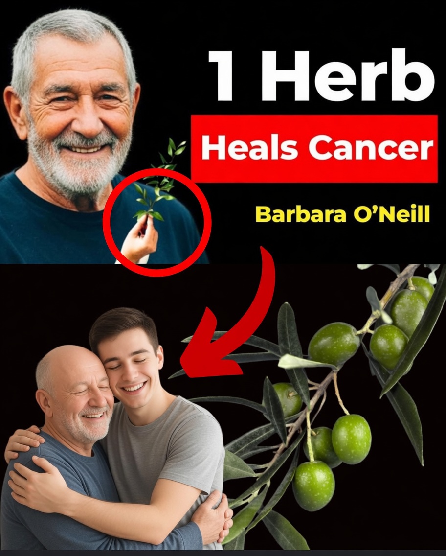 The Cancer-Destroying Leaf Doctors Aren’t Telling You About! Barbara O’Neill’s Perspective