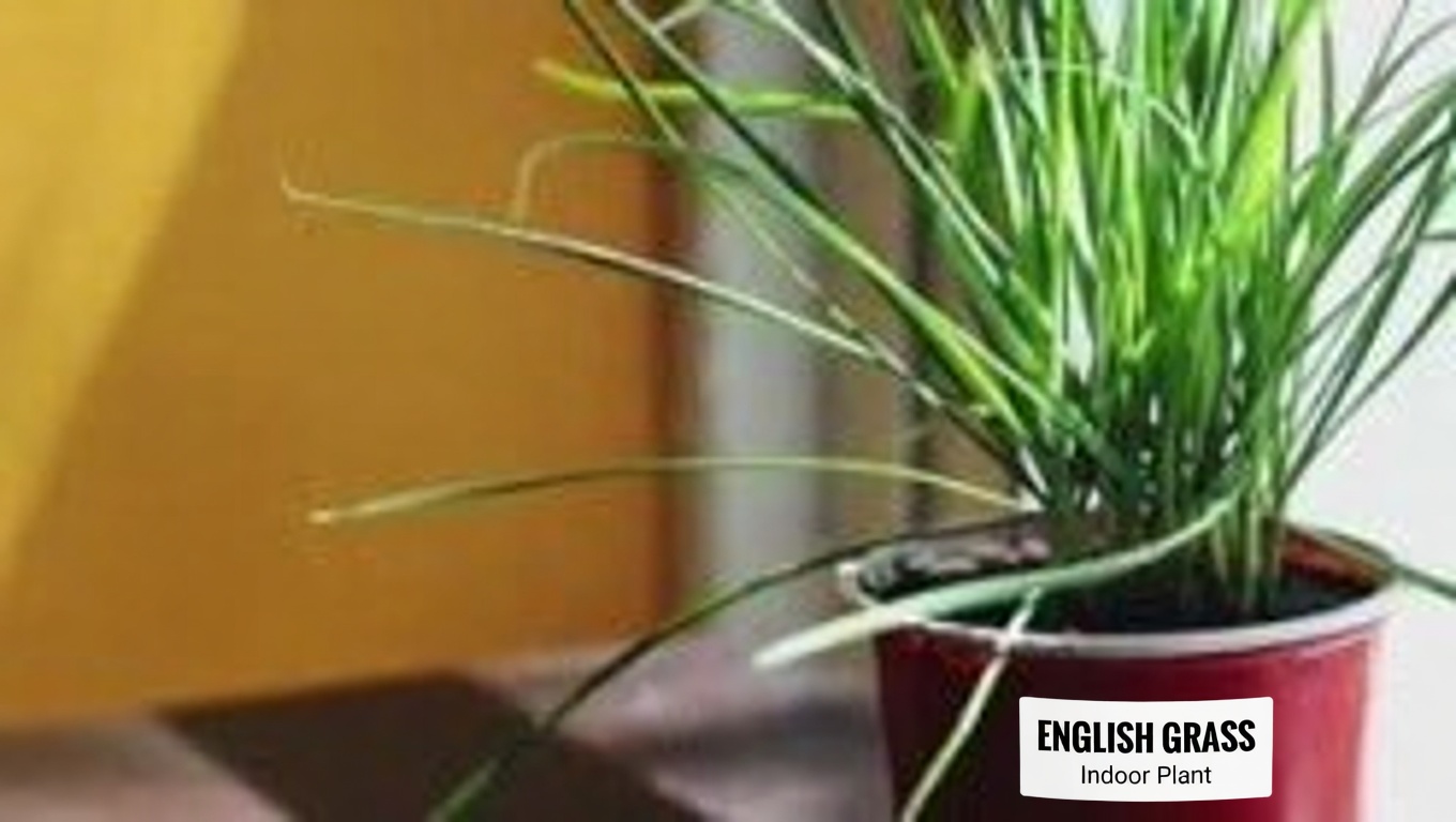 Harnessing the Power of Fig Leaves: A Natural Remedy for Diabetes and More