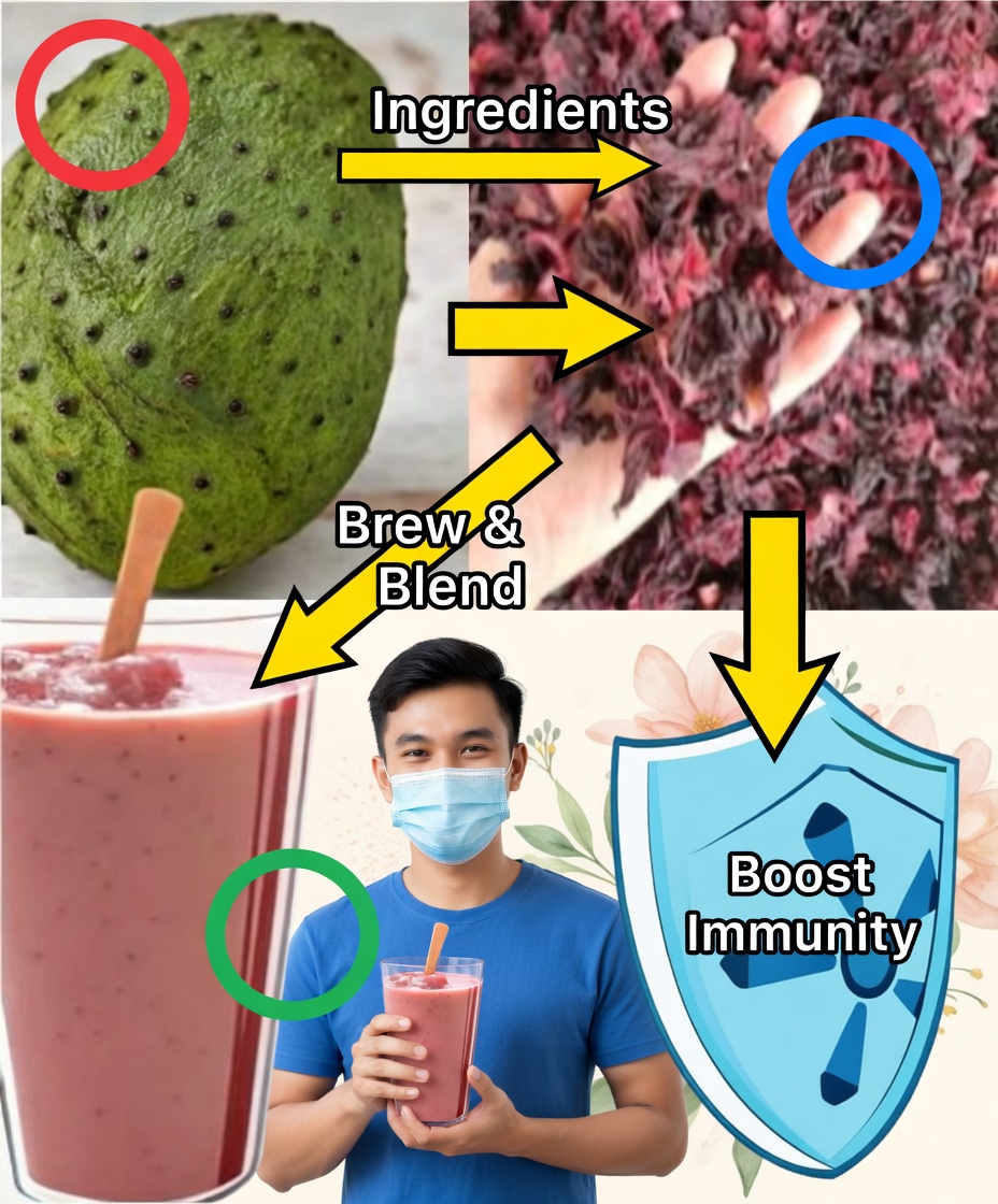 Hibiscus and Ginger to Fight Cancer: Nature’s Powerful Healing Duo