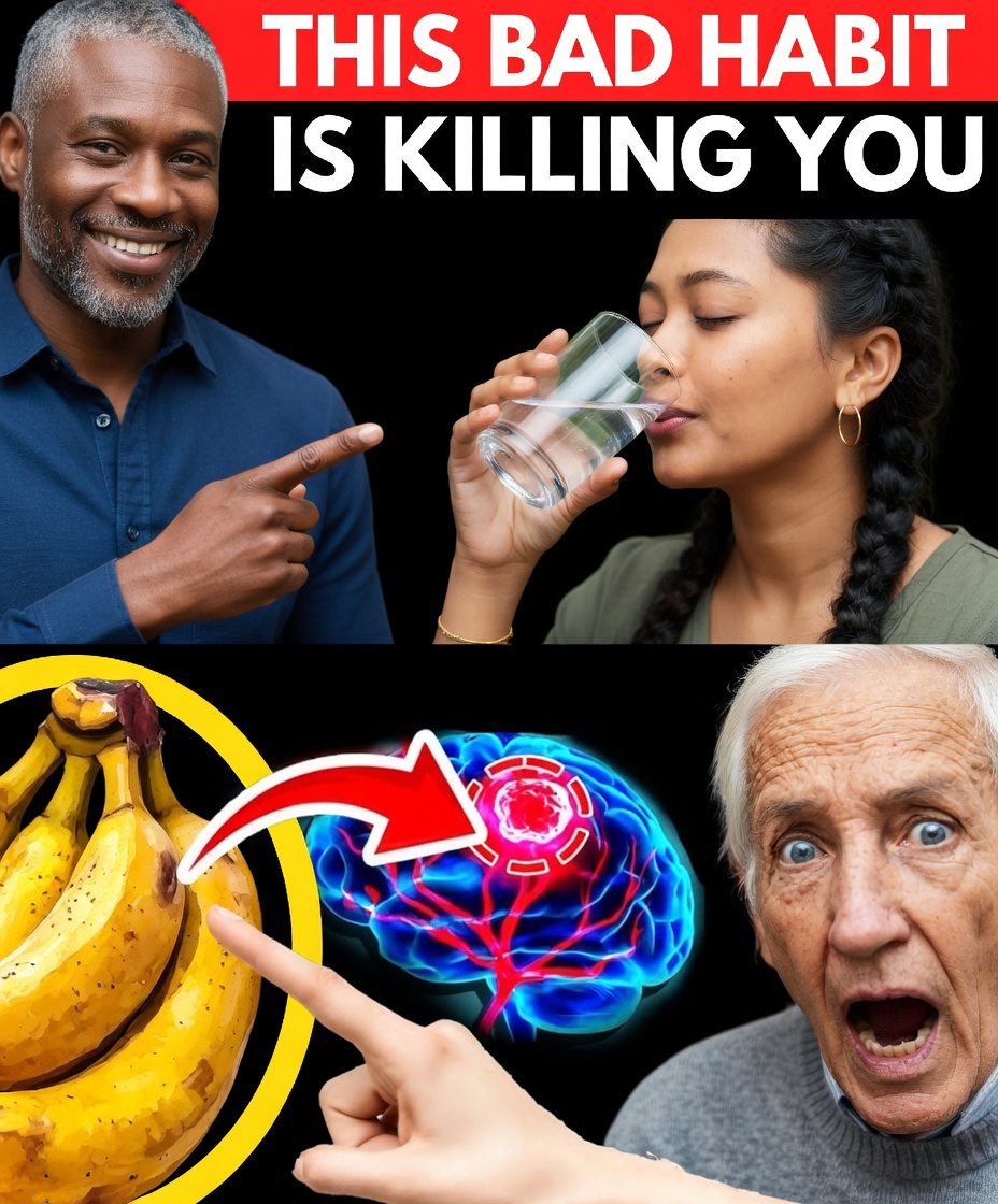 Dr. Barbara O’Neill Reveals the Dangerous Habit That’s Silently Damaging Your Health