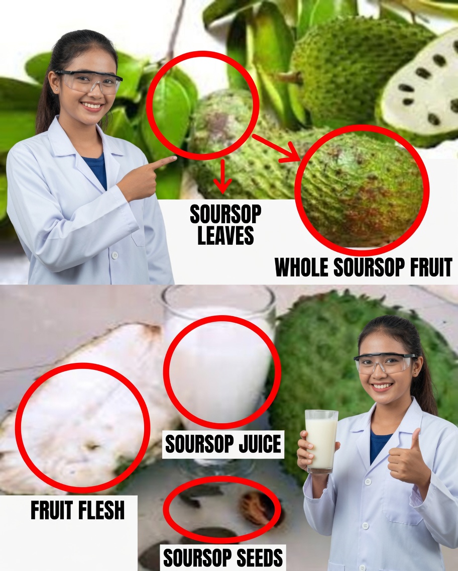 10 Health Benefits and Uses of Soursop Leaf & Fruit