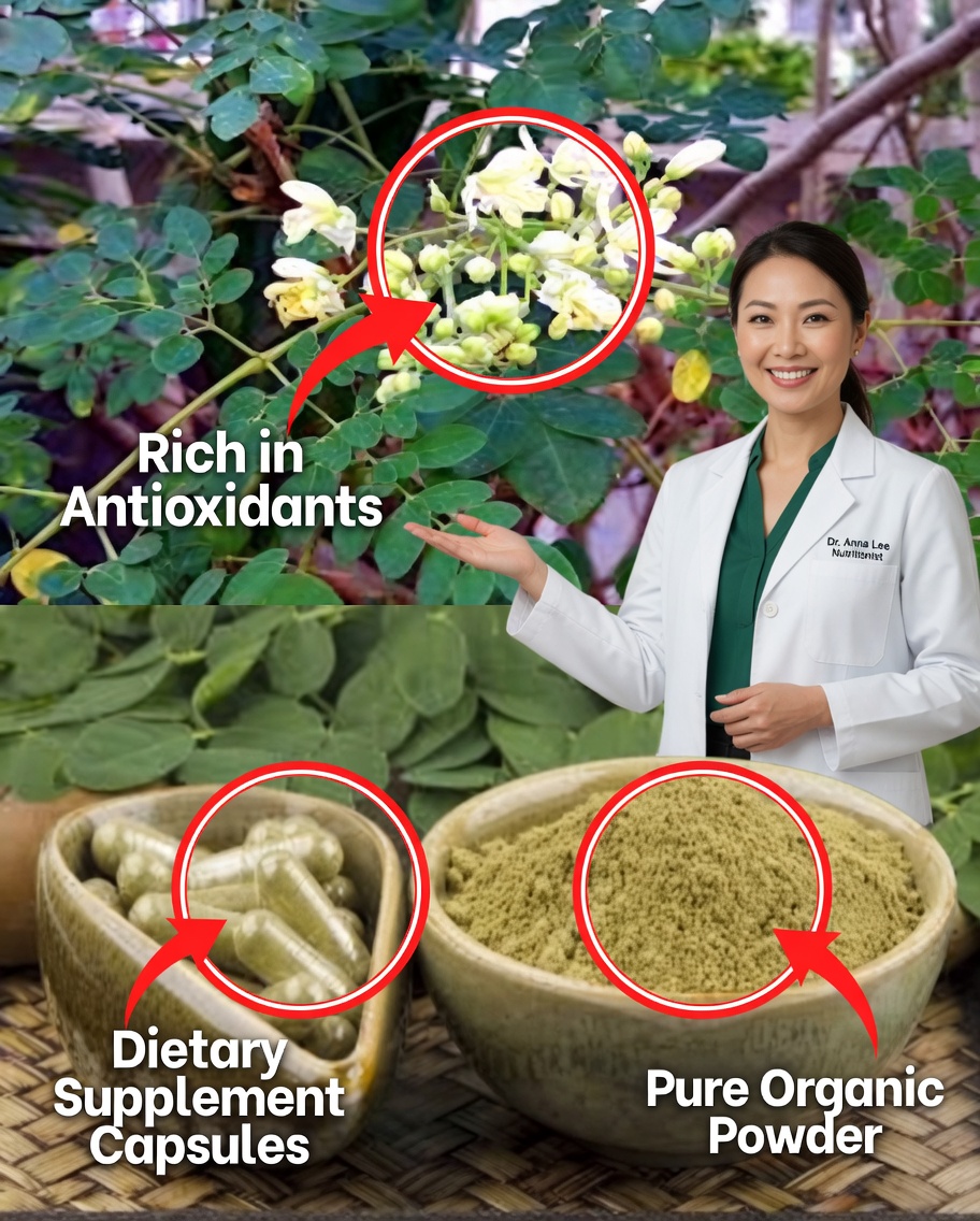 10 Moringa Benefits 90%