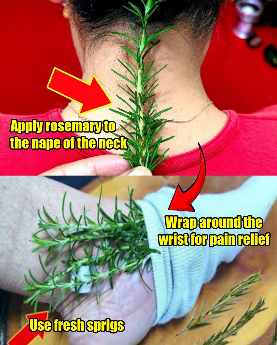 Unlocking the Benefits of Rosemary: Natural Remedies for Your Health and Wellness