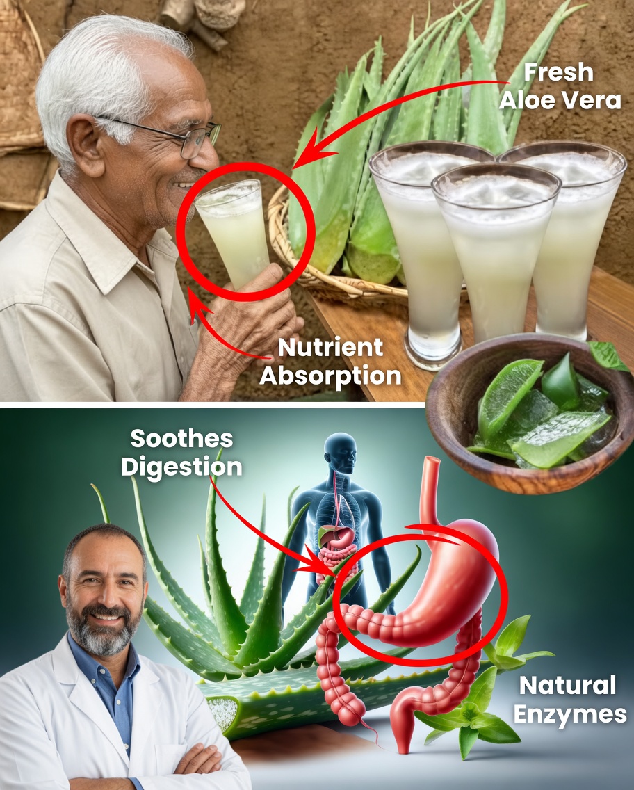 11 Reasons to Drink Aloe Vera Water Every Day